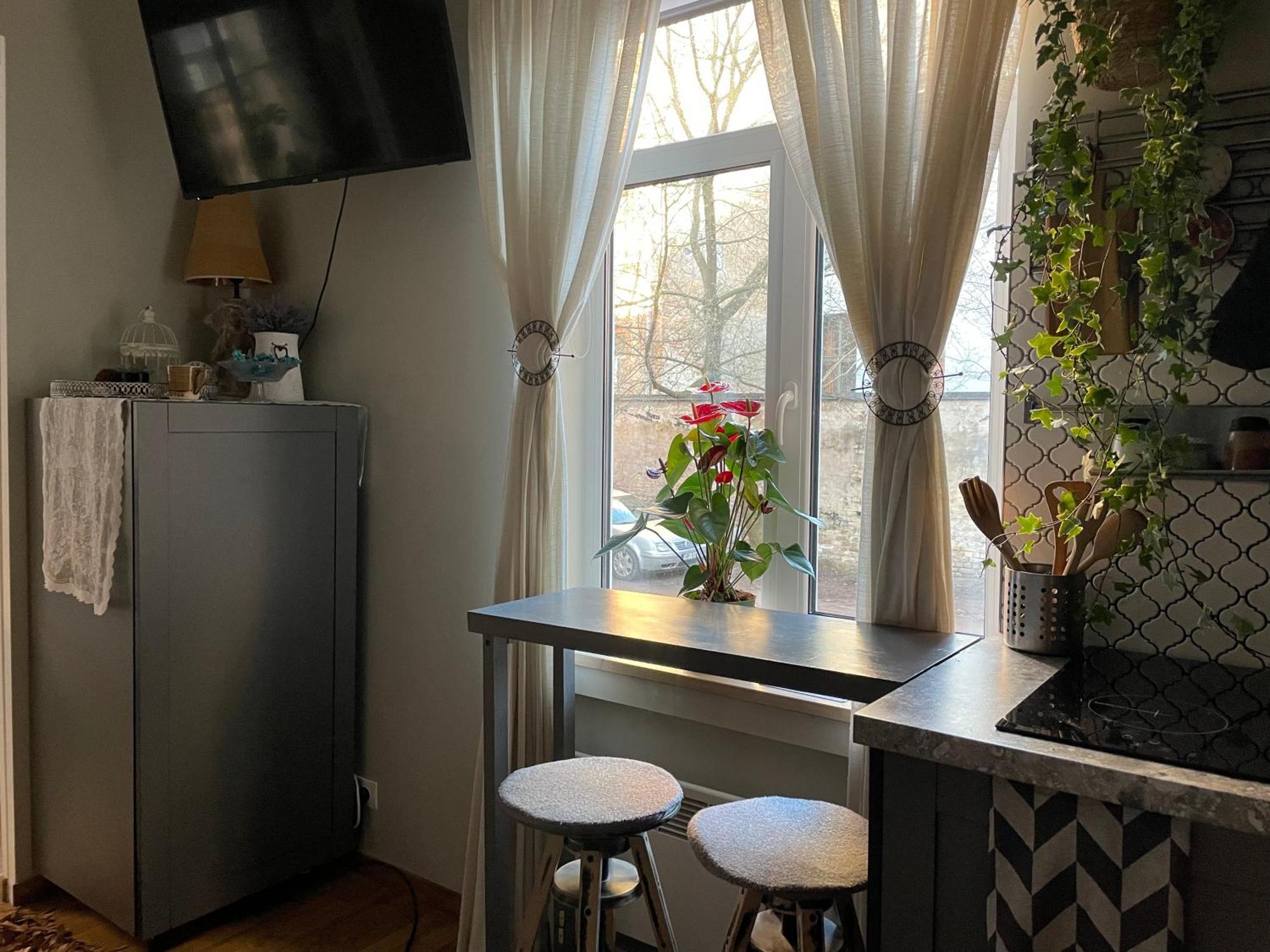 Pristine 1Br Apt In City Center W/ Patio And Parking Ρίγα Εξωτερικό φωτογραφία
